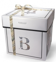 BORSARI PANETTONE AST.MAGNUM KG.5 CLASSICO